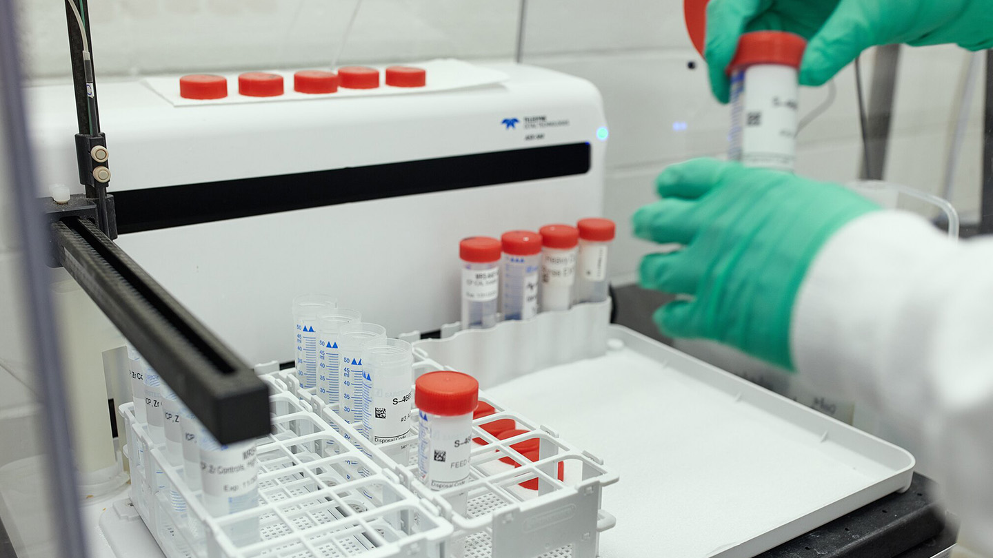 Lab Testing
